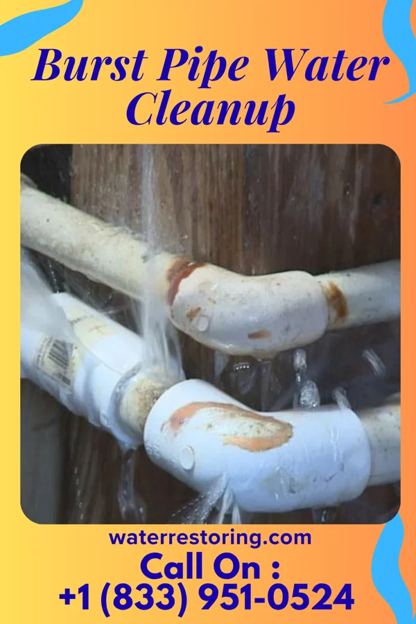 Burst Pipe Water Cleanup in Blue Mounds, WI