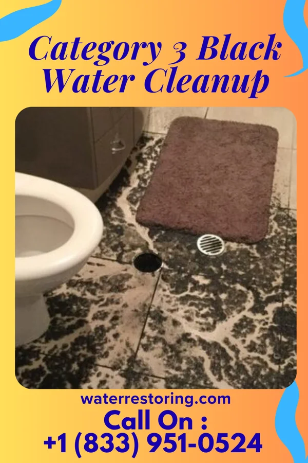 Category 3 Black Water Cleanup in Blue Mounds, WI