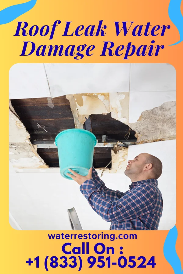 Roof Leak Water Damage Repair in Blue Mounds, WI